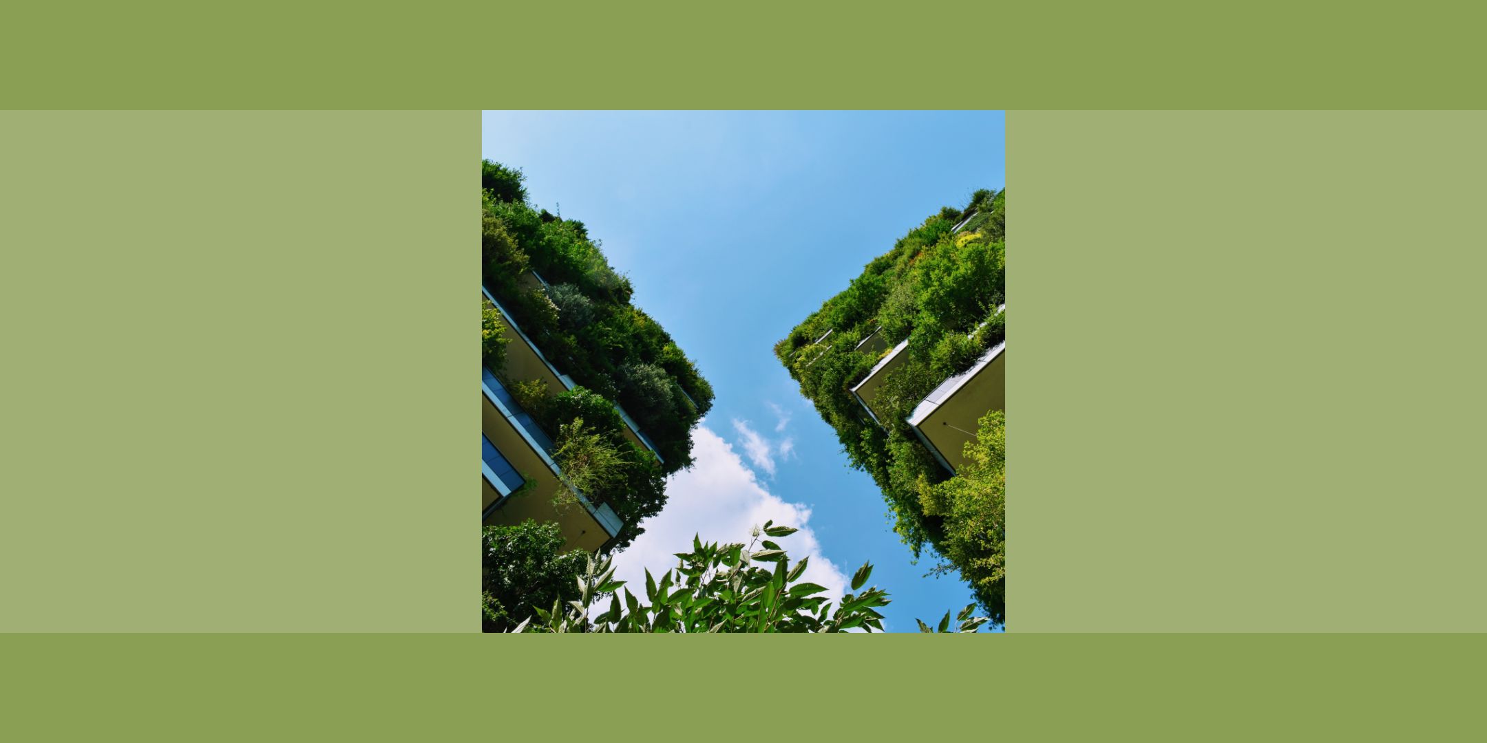 Conférence : Immobilier et biodiversité : Le label Construction