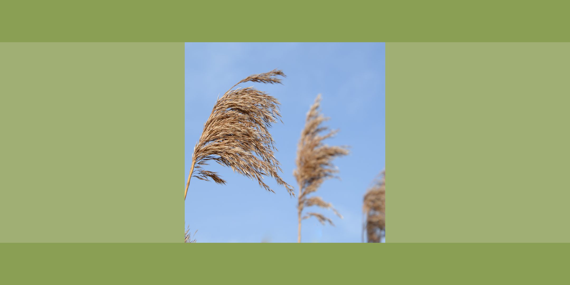 Conférence : La ventilation naturelle au centre de 3 défis