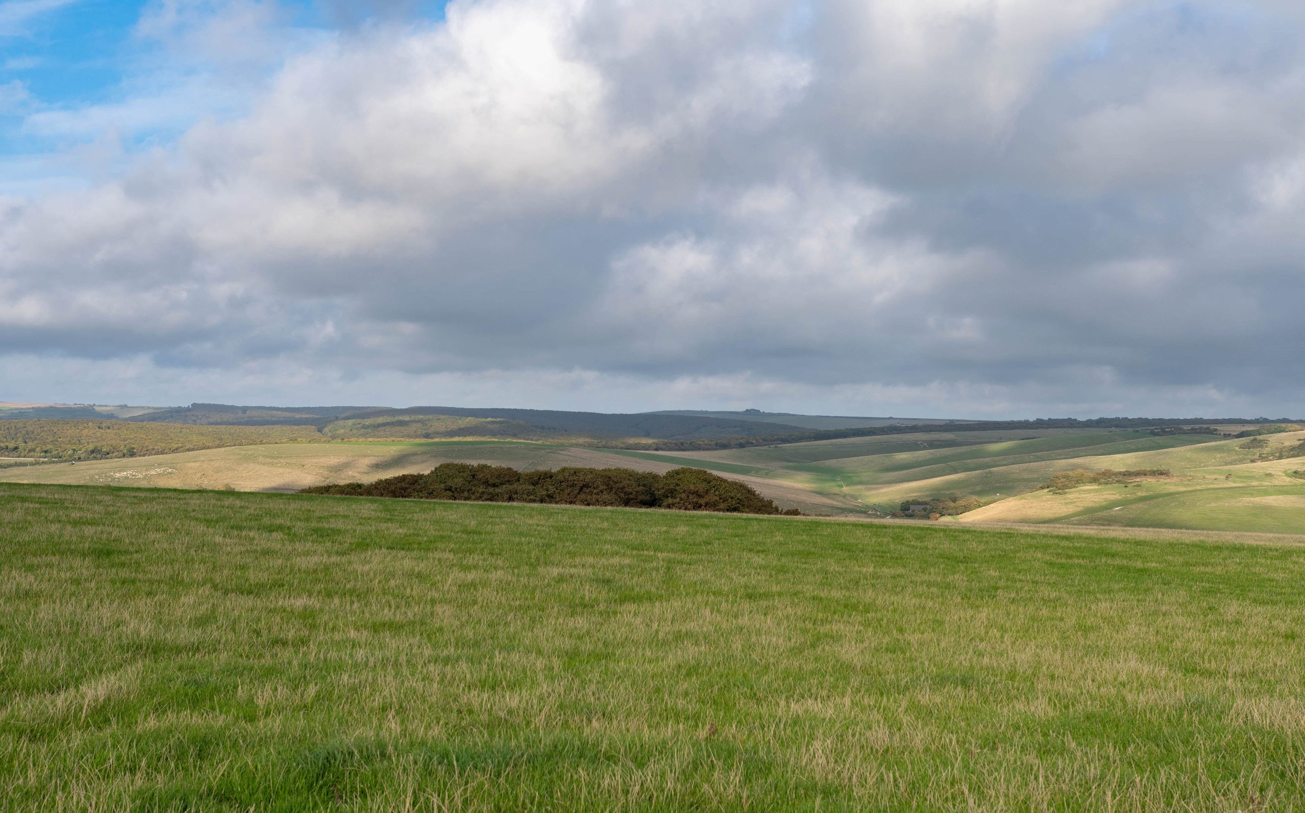 Un paysage de campagne