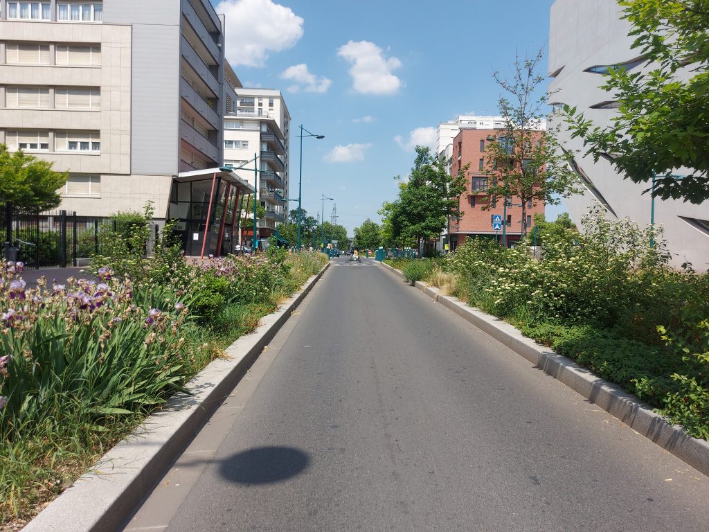 Une route avec des végétaux de part et d'autre, MOE Eco-paysage / AMO Biodiversité - Centre de Loisirs Jean Lurçat