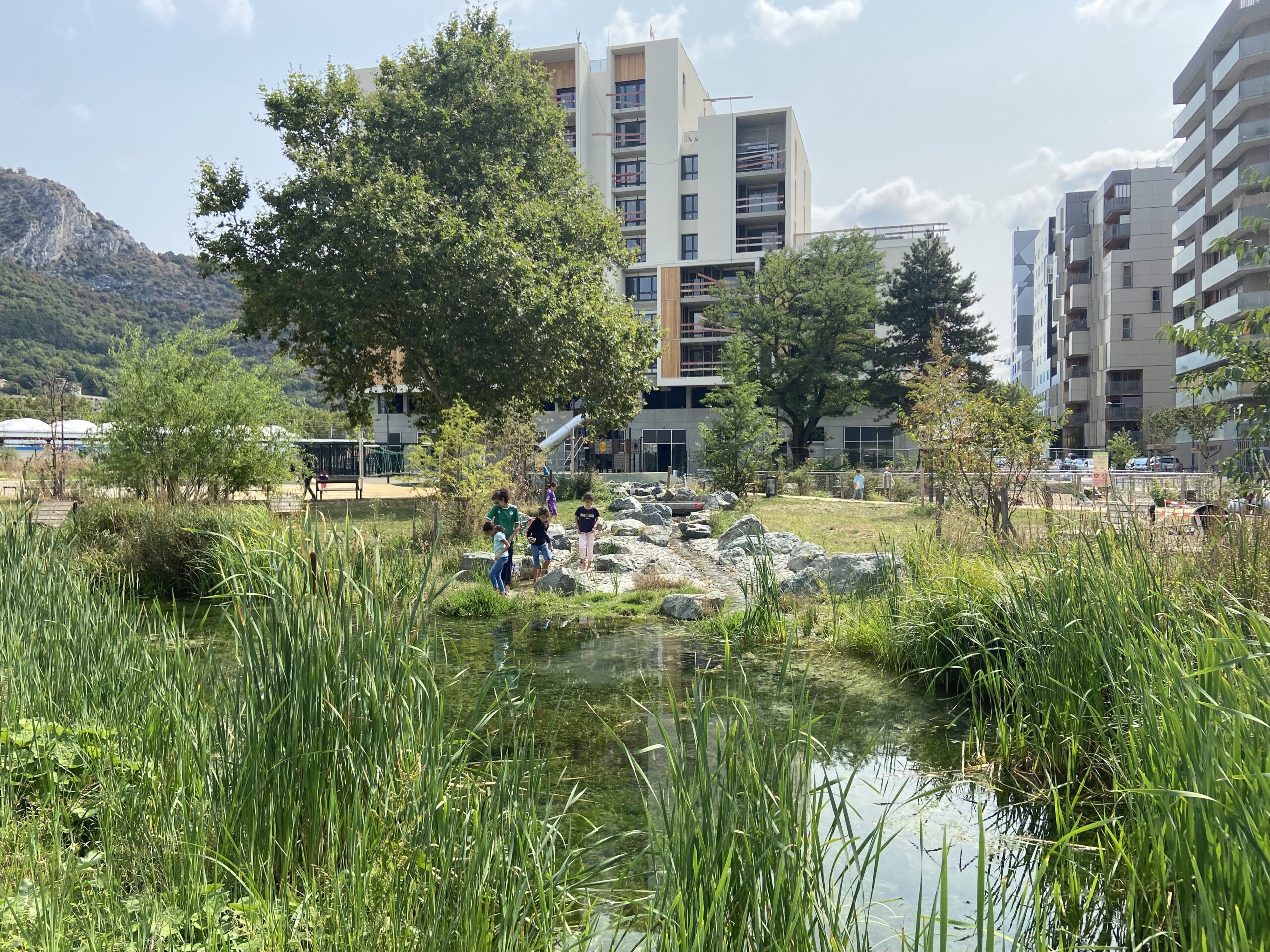 Une ville avec des immeubles et une mare et de la verdure devant les habitations