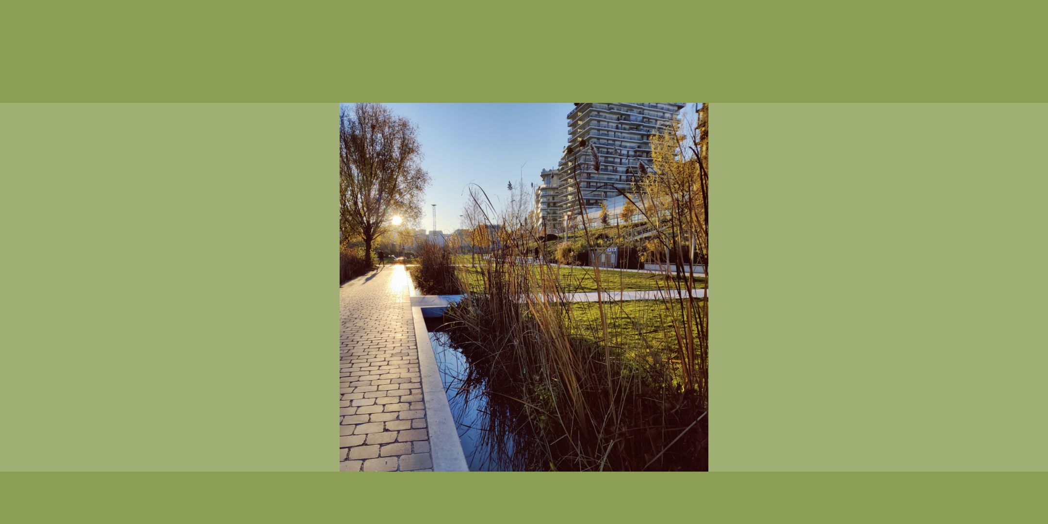 Un paysage de ville avec des arbres, un parc et de l'eauj