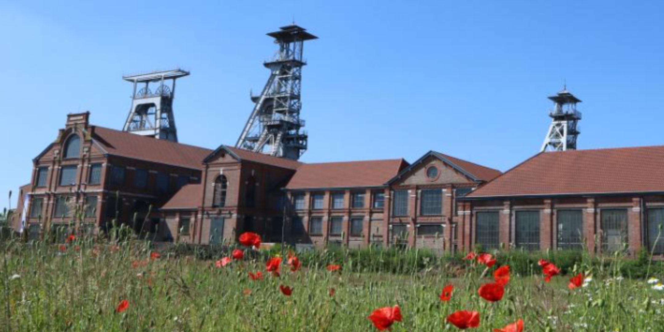Une zone abandonnée