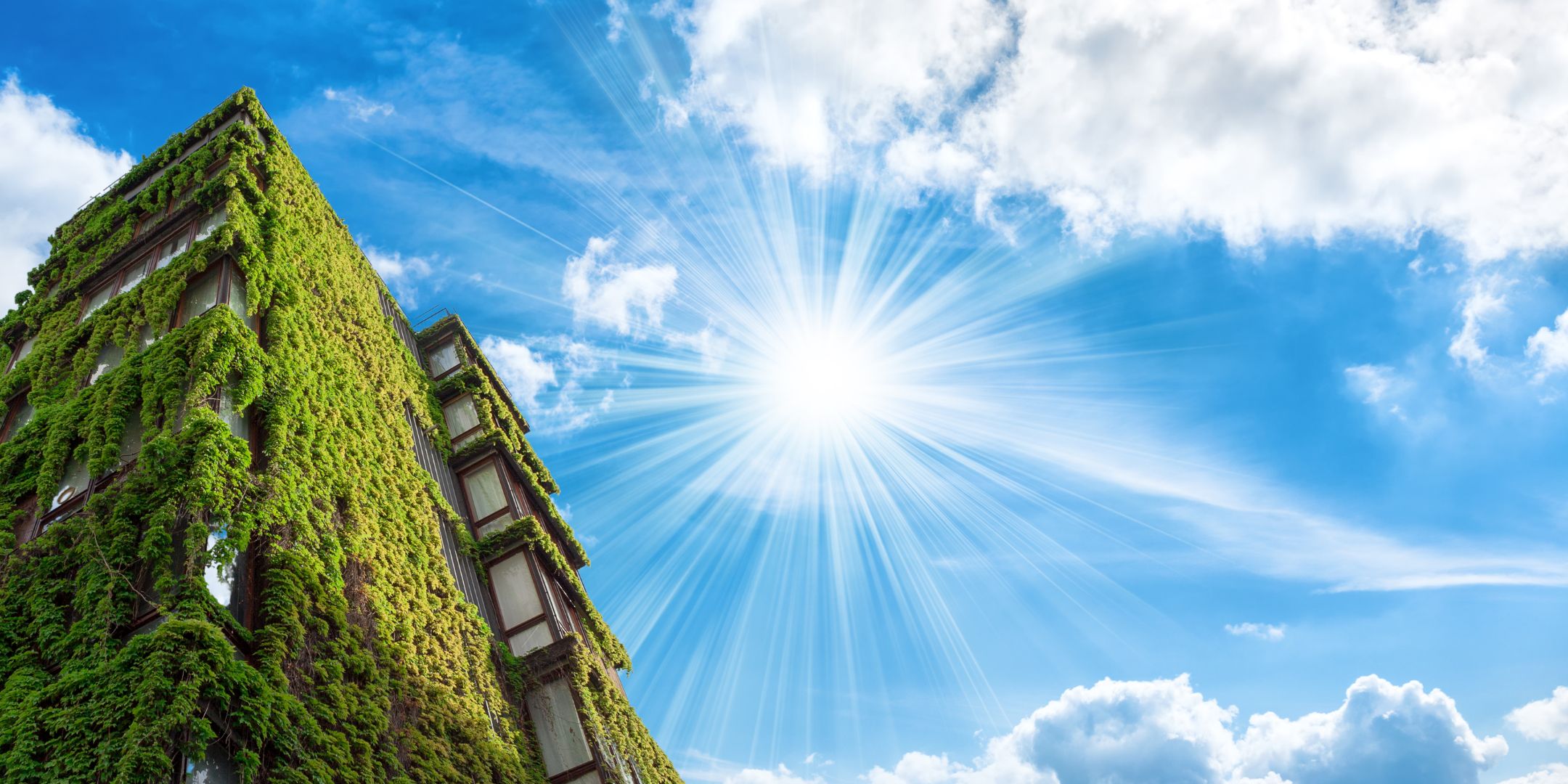 Le ciel bleu avec le soleil au milieu et un bâtiment végétalisé