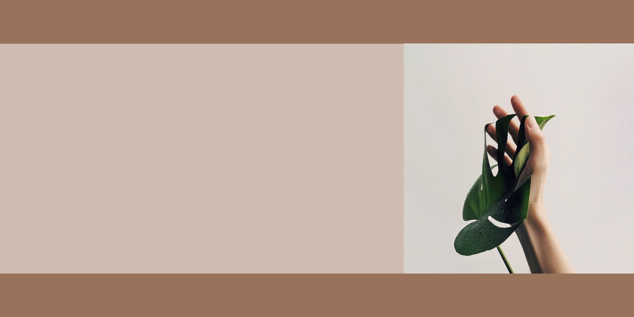 Une main avec une plante